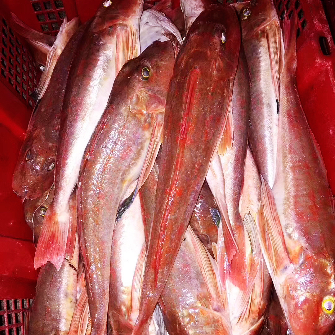 【扫莲红油甲】 5包（洗杀干净一斤剩8两左右）省内包邮