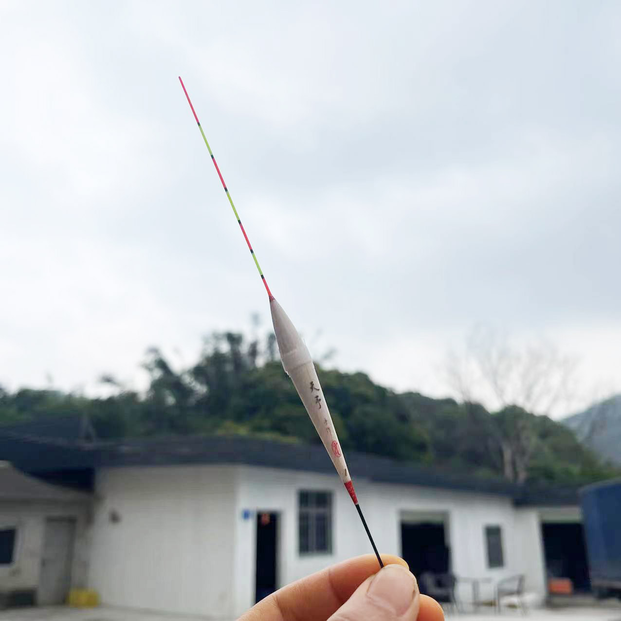 天予M55打浮漂 阿波漂 鲫鱼鲤鱼罗非打浮水皮定层浅水 顿口
