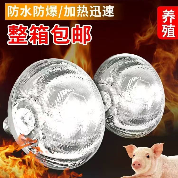 加厚节能保温灯专用小猪小鸡防水防爆养殖场专用