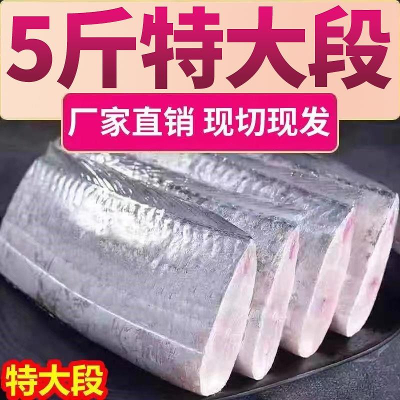 【海掌柜】带鱼段去头去尾刀鱼野生东海鲜小眼带鱼批发中段大段精选