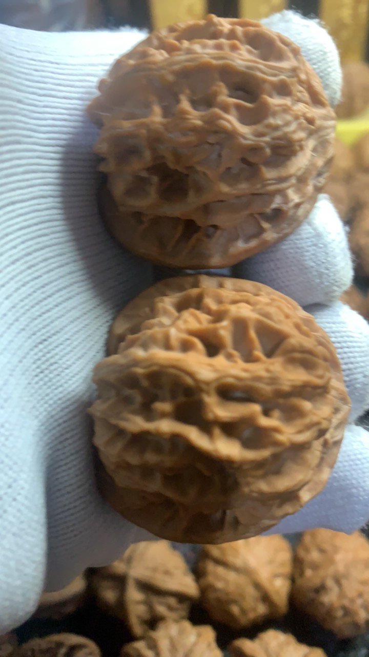 原装苹果园狮子头