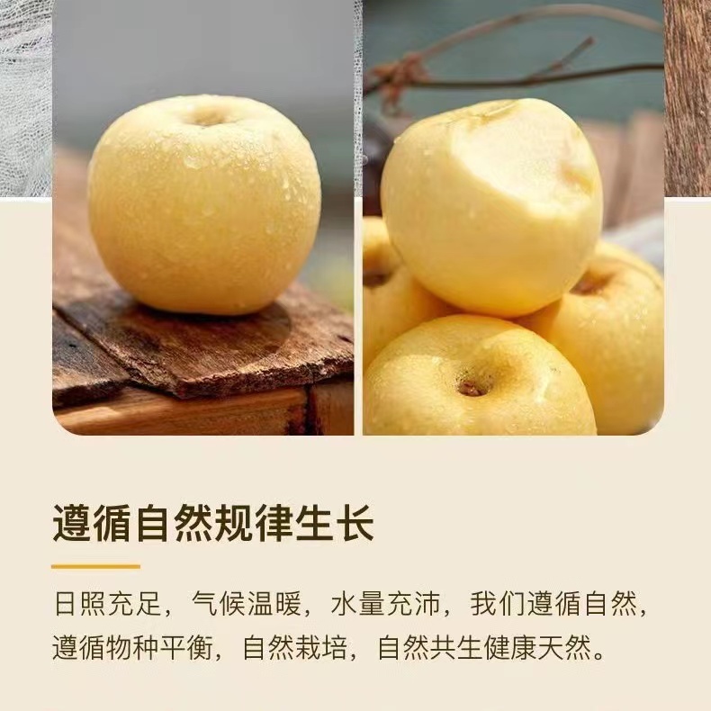 新鲜大苹果好吃又新鲜
