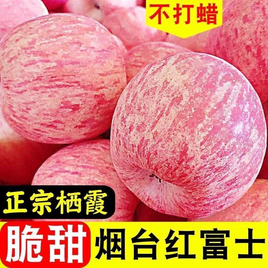 【正宗】山东烟台栖霞红富士苹果3斤中果带箱水果当季盒冰糖心果