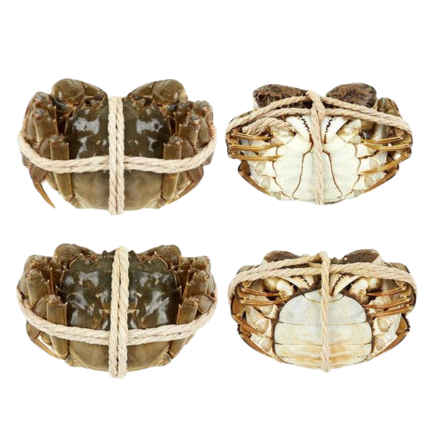 公蟹一只5.0-4.7两/母蟹一只3.5-3.2两【二选一】