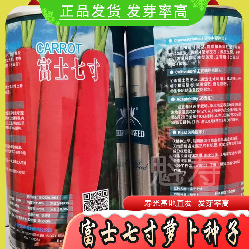 胡萝卜种子富士七寸胡萝卜种籽春秋两季高产蔬菜大面积庭院种子