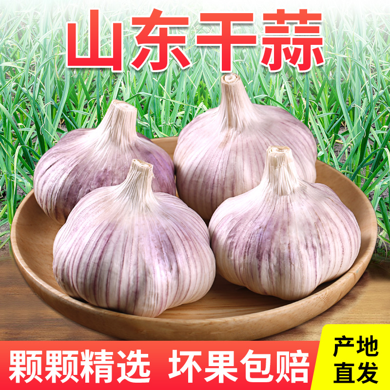 【新店冲量】精选正宗山东金乡大蒜头独头蒜2023新干蒜5斤坏果包赔