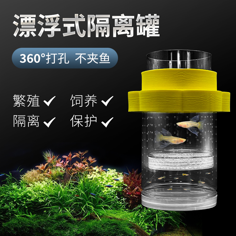 孔雀鱼繁殖隔离盒悬浮款幼鱼母鱼混养鱼缸内饲养鱼苗漂浮罐大中号