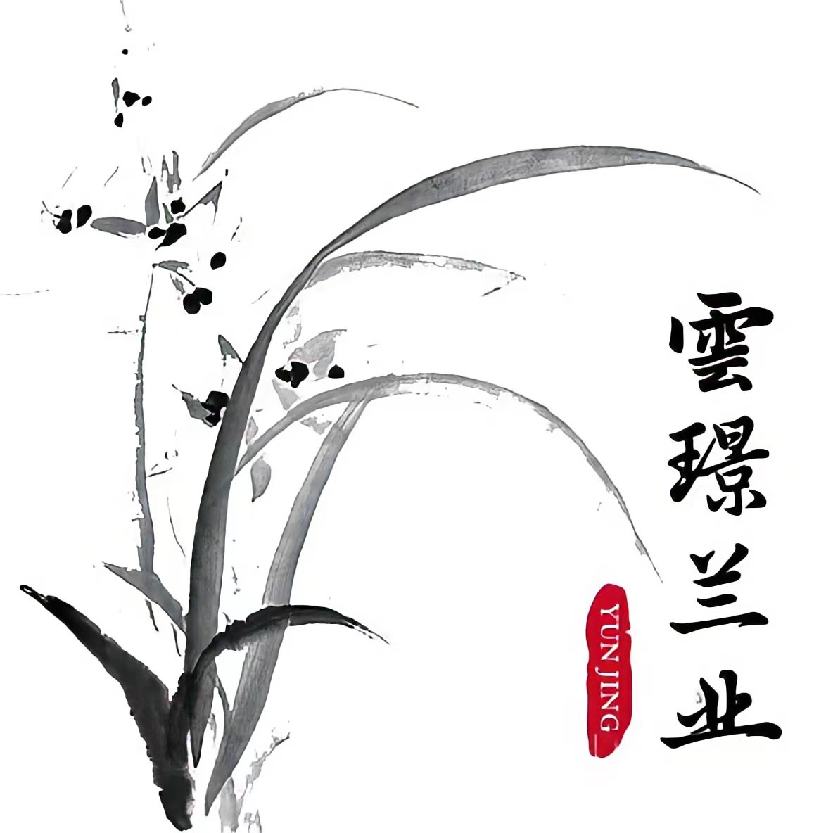 云璟兰业精品兰花，一花一拍。