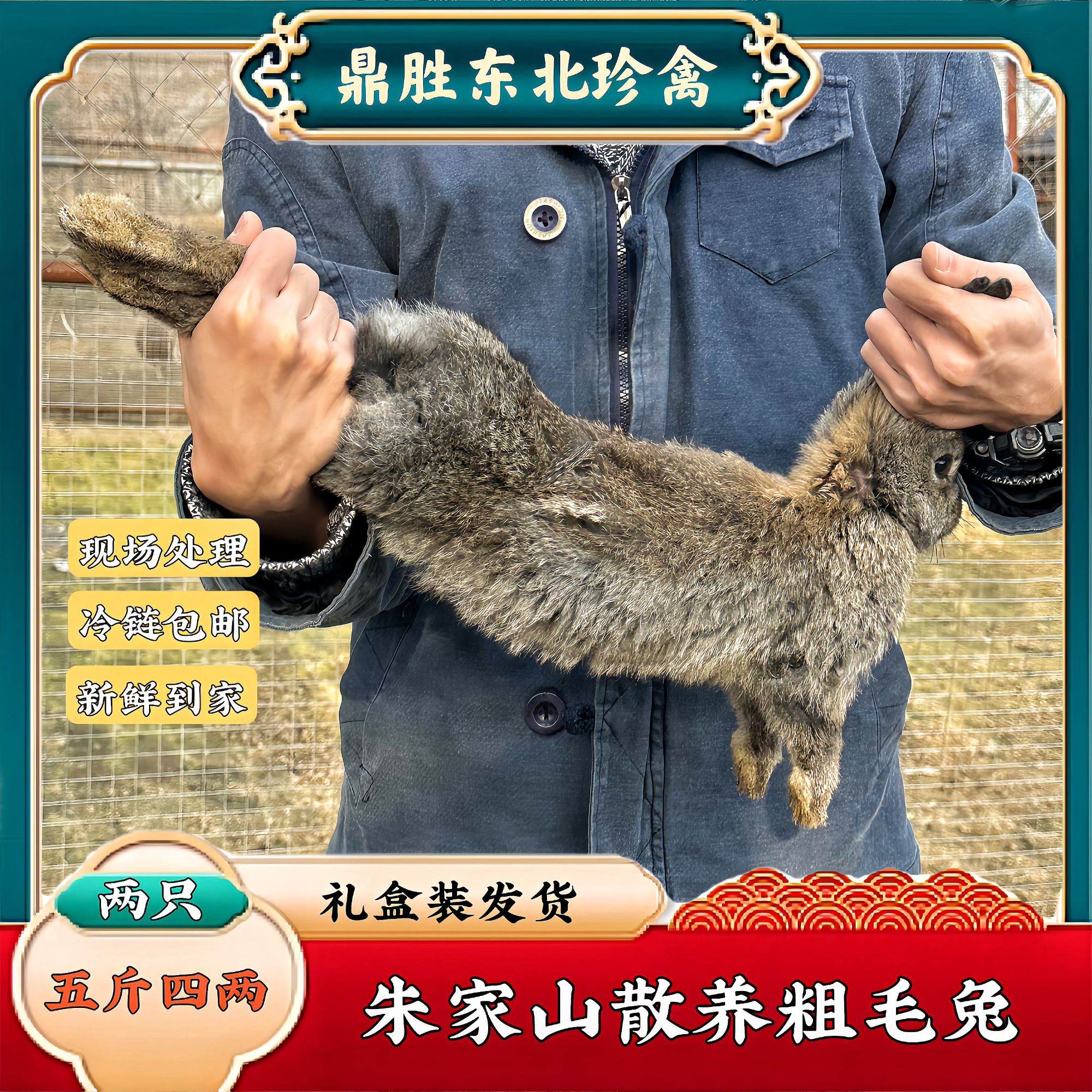 【东北直发】粗毛兔朱家山散养现宰现杀两只五斤四两