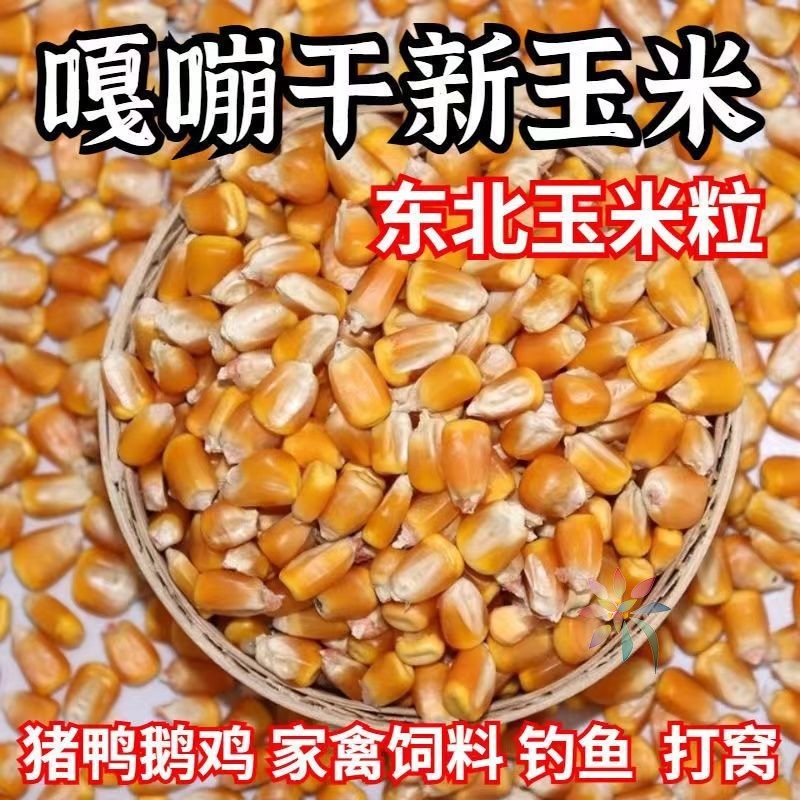 东北玉米粒20斤批发大粒干玉米10kg特喂鸡鸭鸽子动物/0lb蔬菜组合