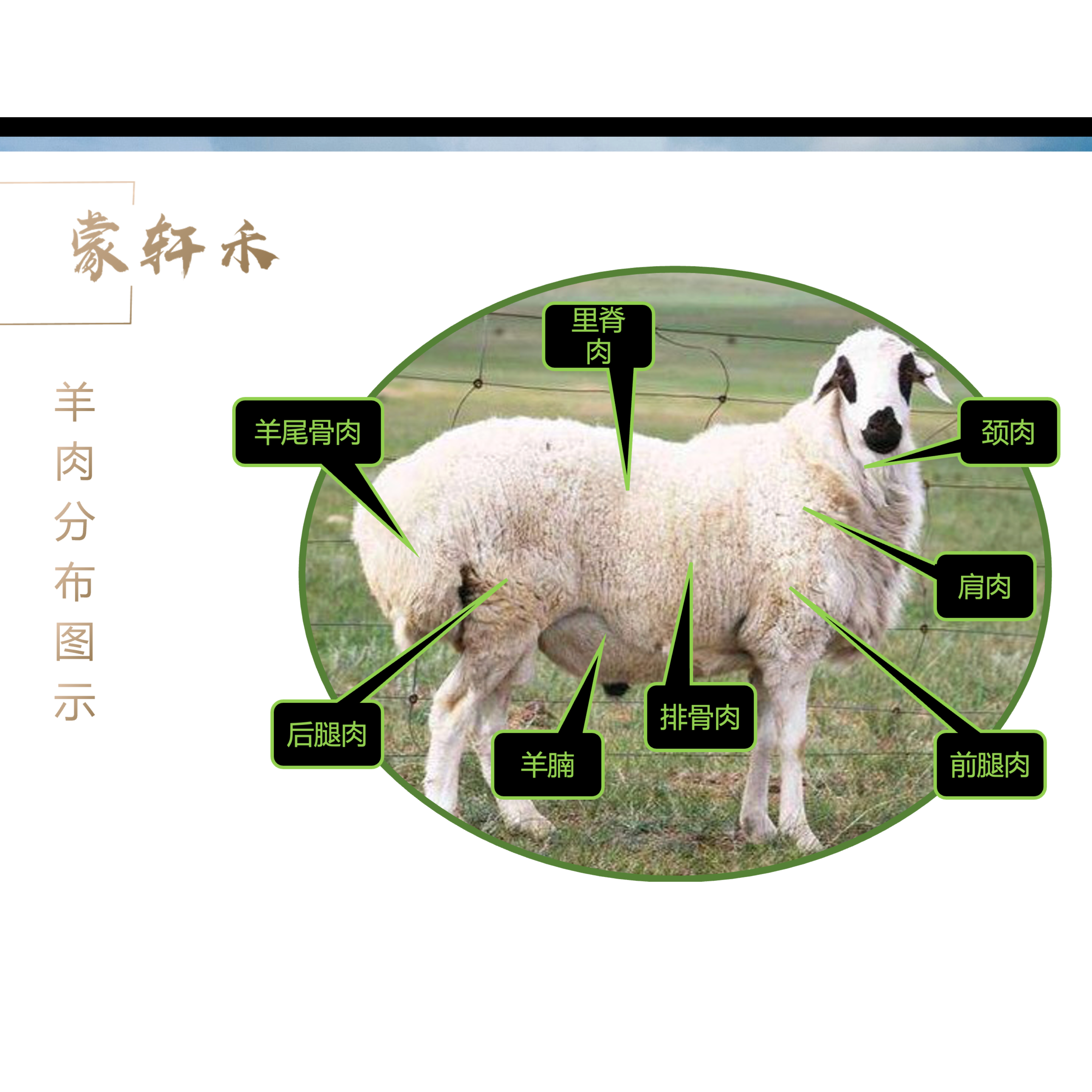 蒙轩禾有机认证  锡林郭勒牛羊肉定制套餐内蒙古礼盒