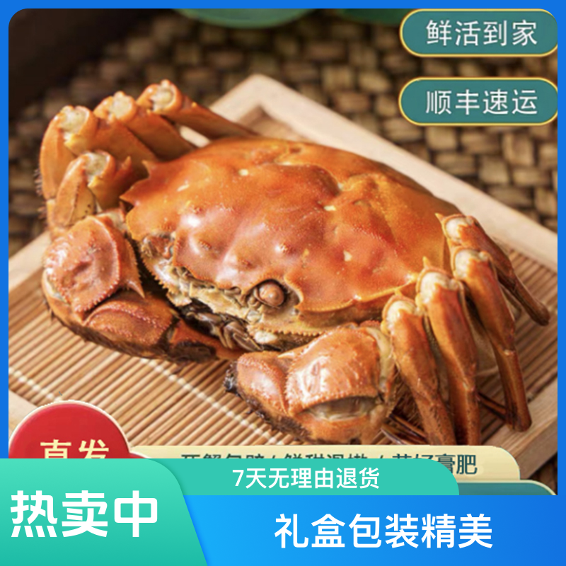 【活蟹】巢湖大闸蟹 全公蟹(5.0两-5.3两公蟹）6只8只10只装