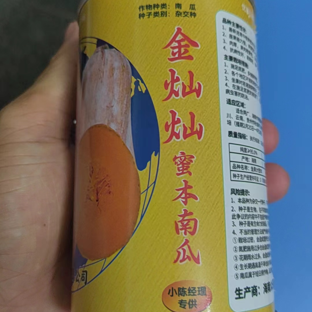 金灿灿蜜本南瓜优质品种