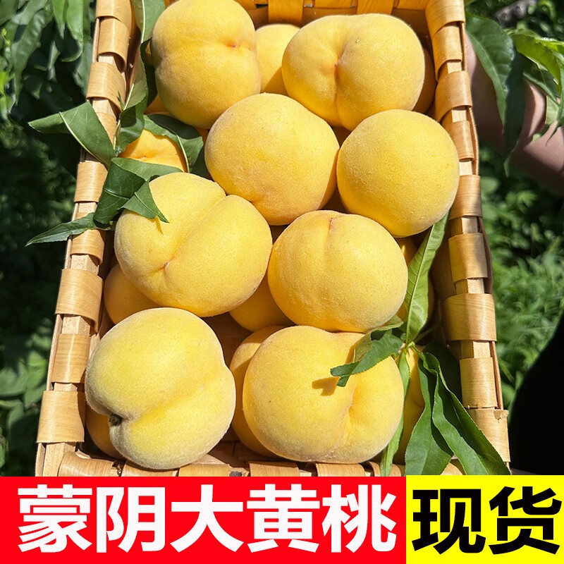 黄桃水果蒙阴黄桃现摘现发应季水果孕妇黄桃新鲜正宗时令桃多汁