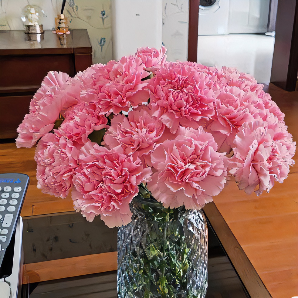 甄选【单头康乃馨】2把以上包邮