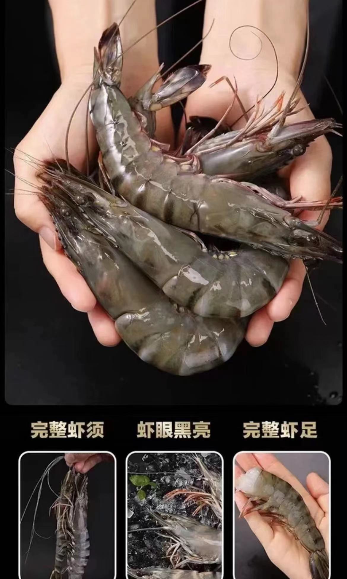 特大号21-25规格 鲜活速冻精品黑虎虾16-18cm/三斤 连云港发货