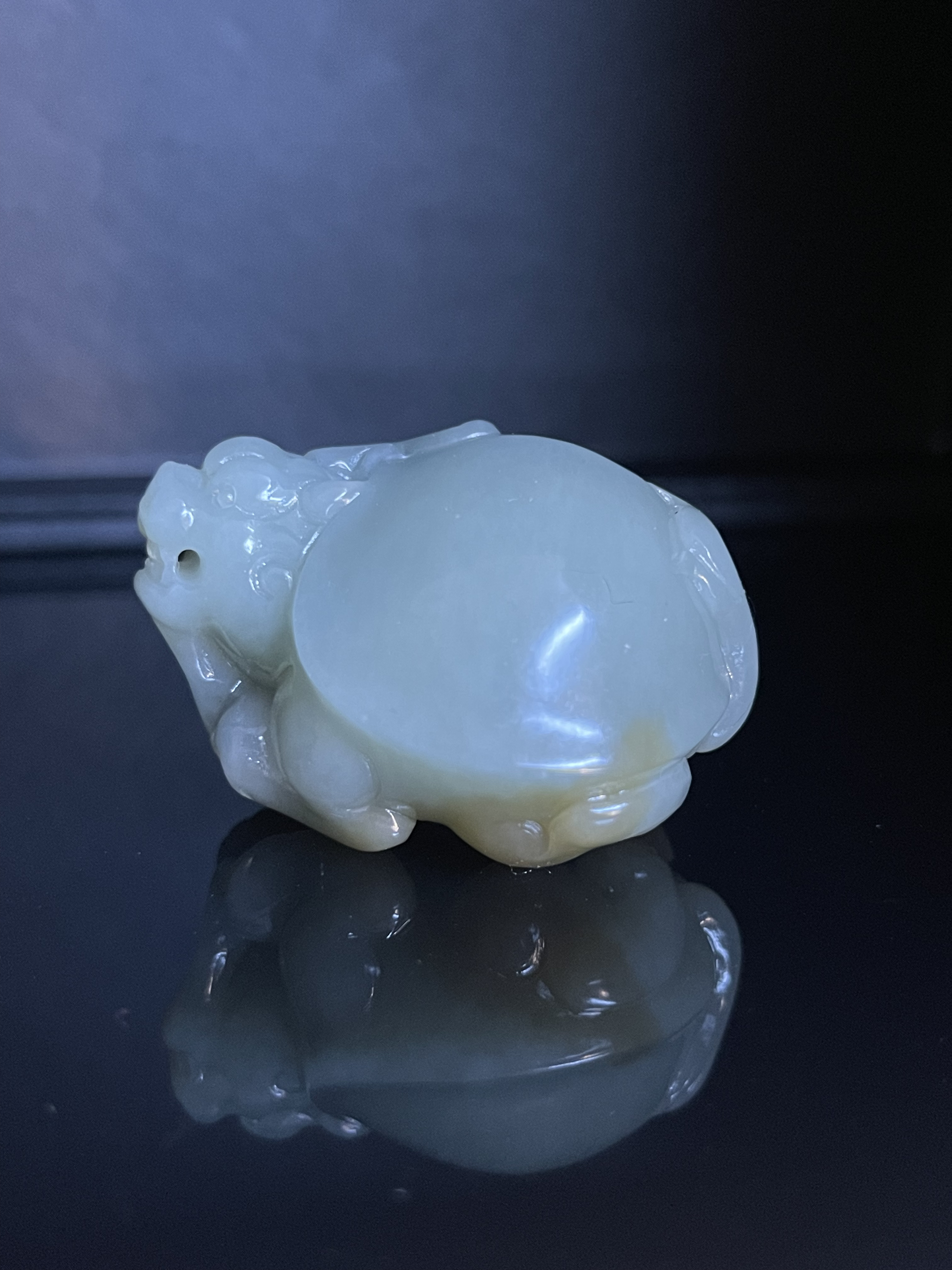精品和田玉雕刻龙龟挂件把件（尺寸约47.5×389×29.1mm68.6g左右）