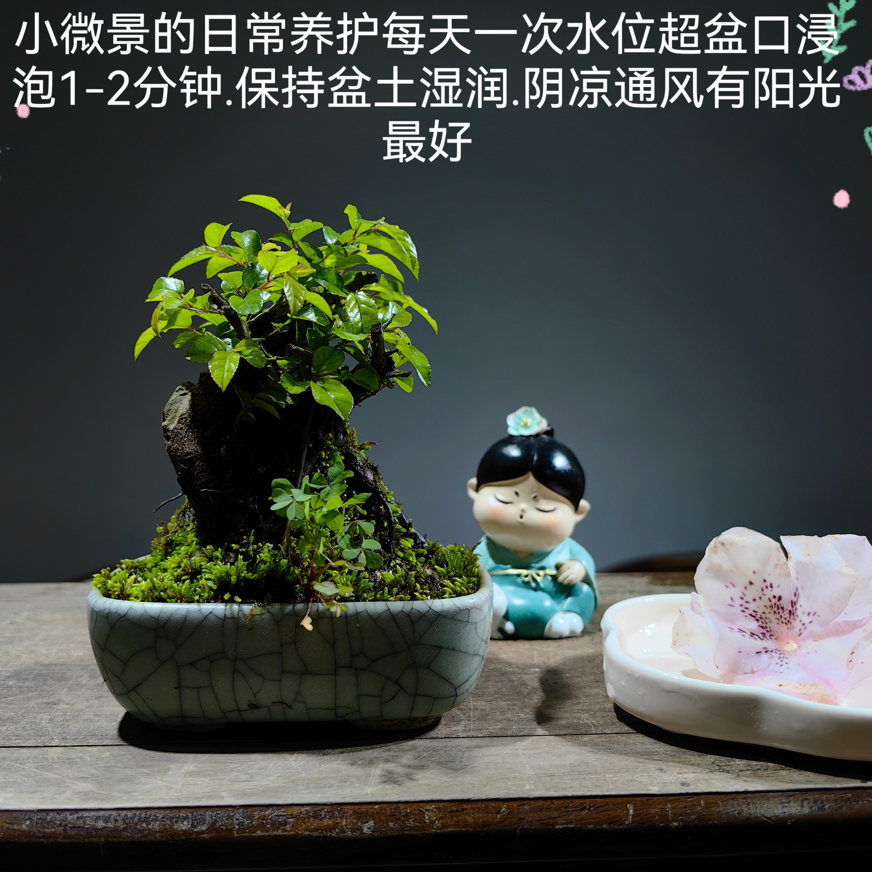 直播间室内一物一拍补差价专用链接老桩