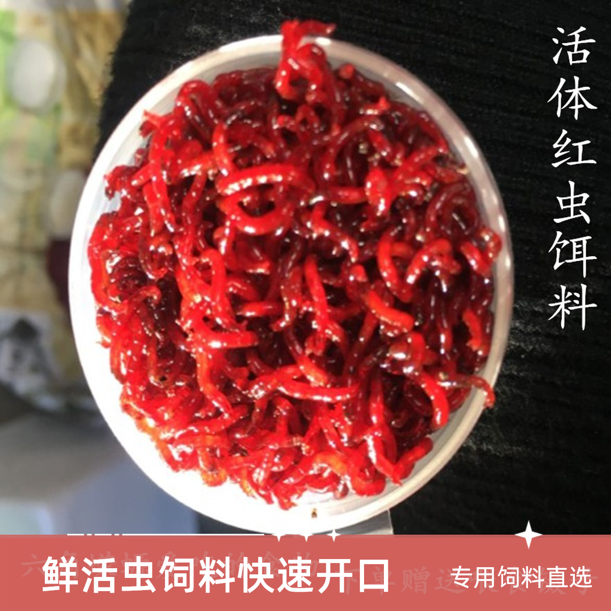 六角恐龙蝾螈专用饲料鲜活虫红线虫活体下沉底栖鱼食饵料快速开口