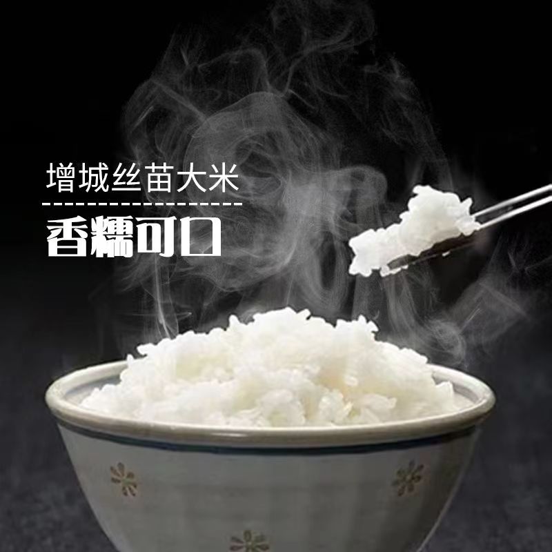 广州增城挂荔丝苗米当季新米包邮2024年细苗南方大米5kg5斤装试吃