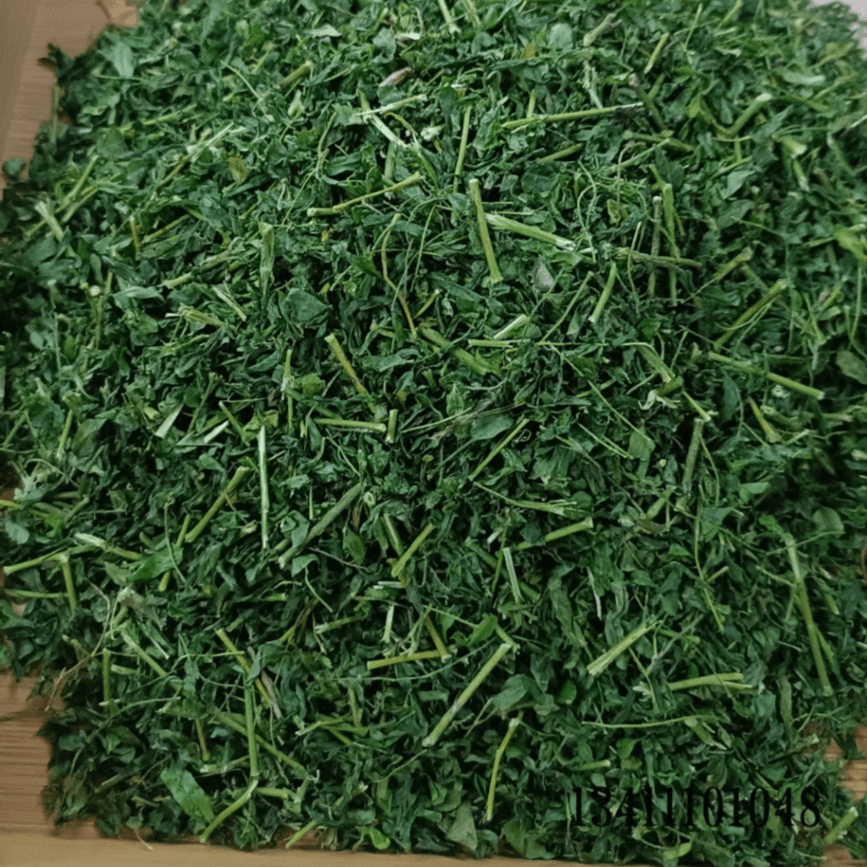 广东相思草户干茶鸡骨草茶袋装250g半斤装一斤装直接泡水喝甘甜味