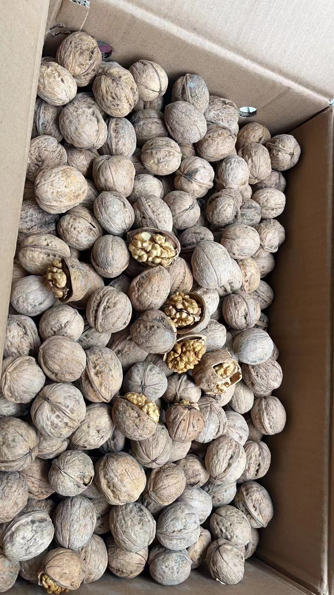 疆果二姐新疆阿克苏纸皮核桃手捏即开