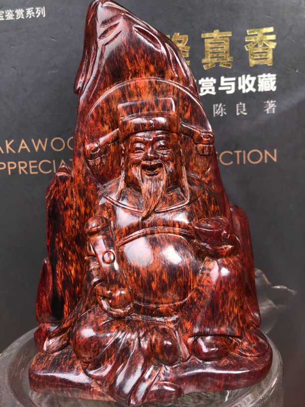 海南红降红土土埋香胆芝麻点