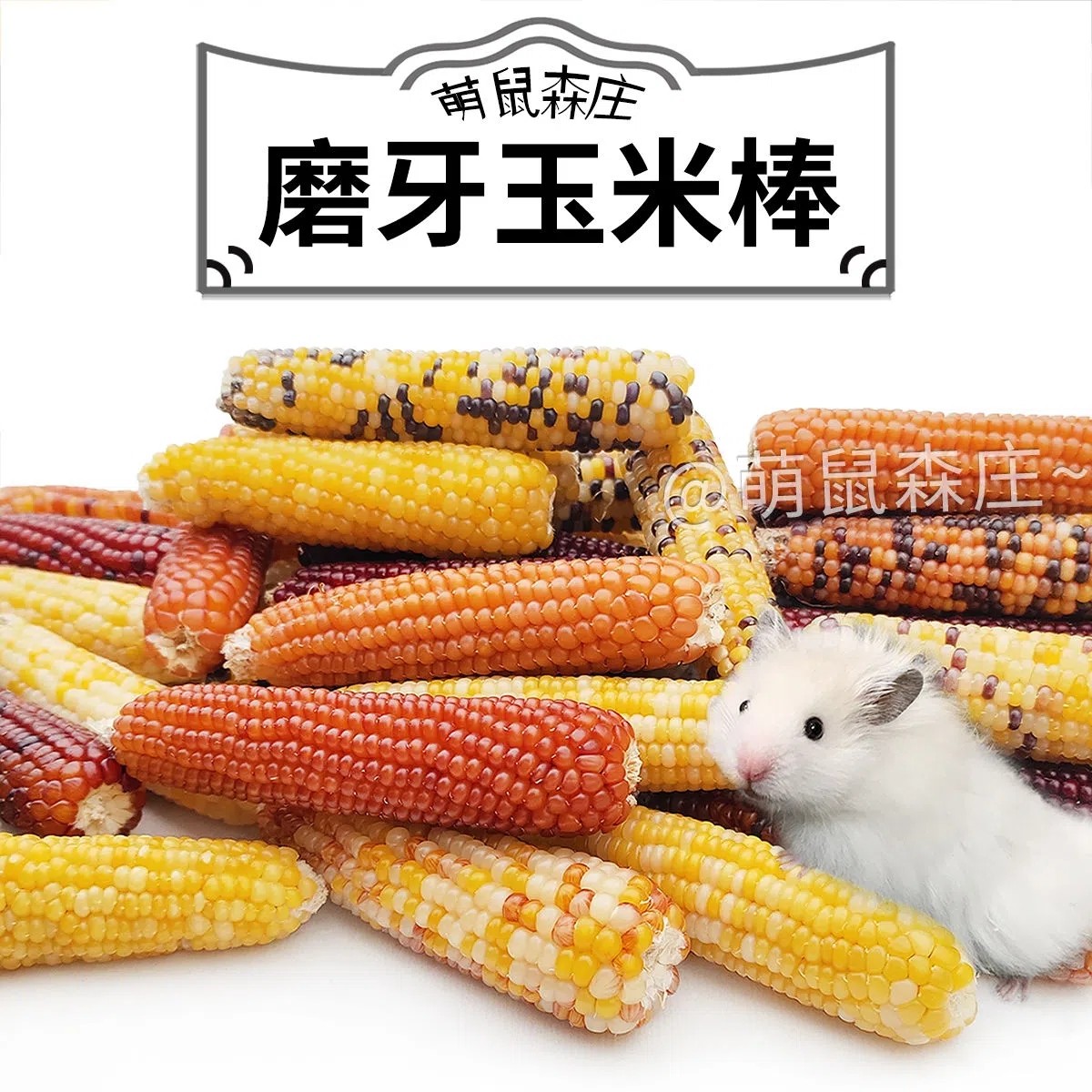 仓鼠零食玉米磨牙棒荷兰猪龙猫豚鼠兔子营养粮食金丝熊迷你小玉米