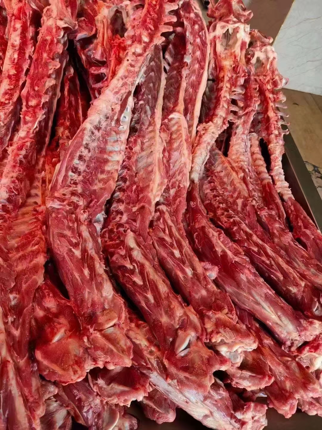 锡盟草饲羔羊肉蝎子