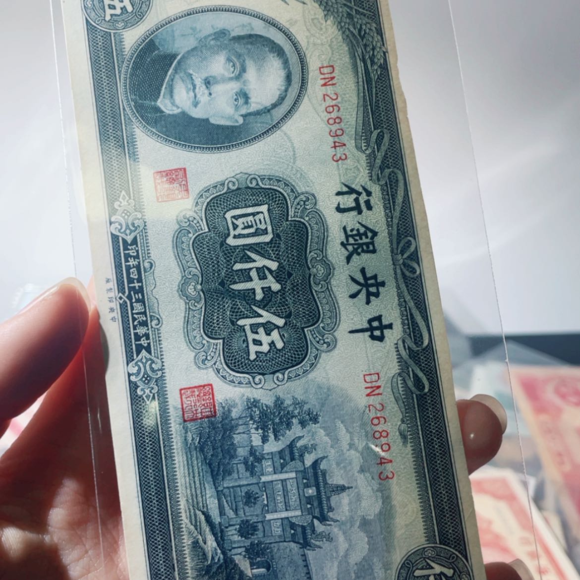 【闪购商品】舟*85