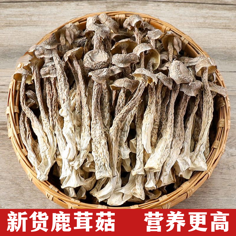 【新货上市】鹿茸菇干货干鹿茸菌菌菇【100克*5包】无硫新鲜煲汤
