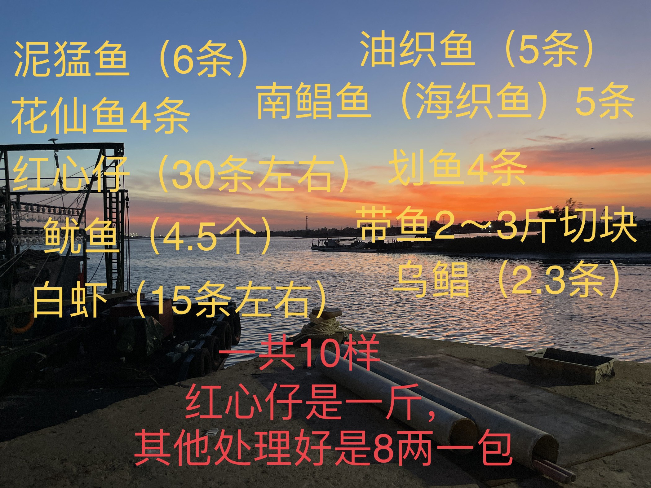 鱿鱼，白虾，泥猛，花仙，红心，乌鲳、油织、南鲳、划鱼，带鱼，共十样