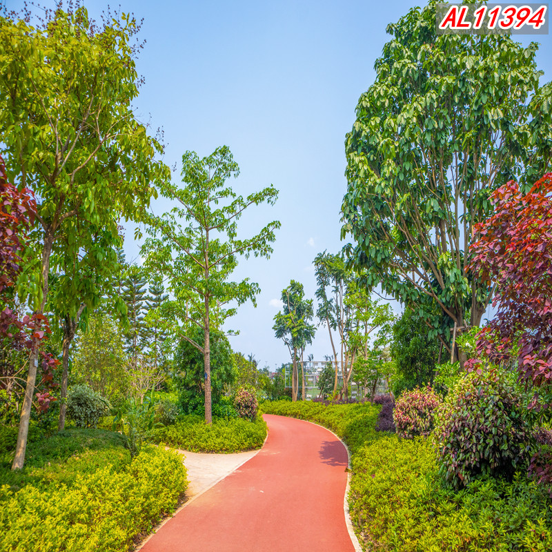 【河南大美专属】主播网红直播背景布3D立体户外风景装饰印刷背景墙