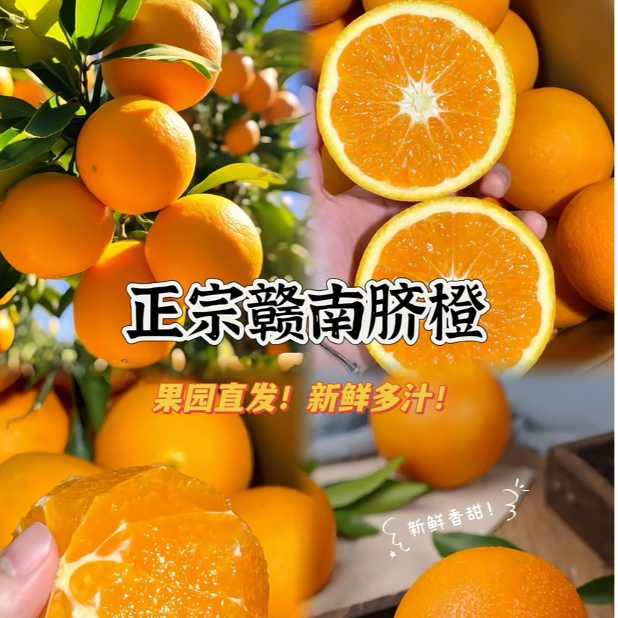  赣州安远现摘赣南脐橙正宗江西安远果园直发不催熟香甜