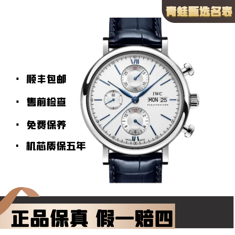 99新 IWC/万国 柏涛菲诺/自动机械/42mm/型号IW391037