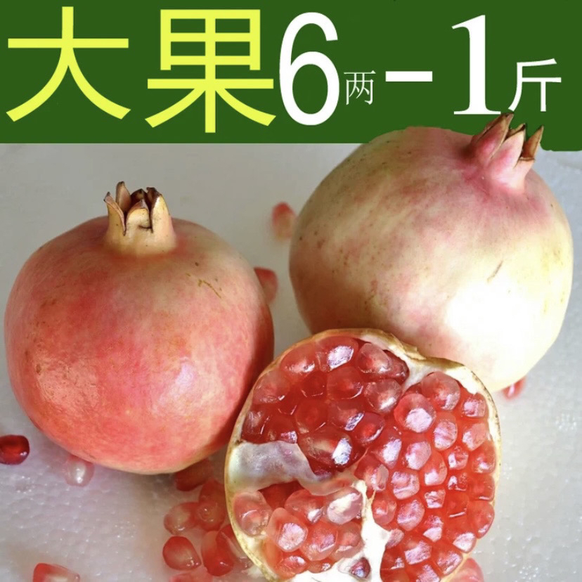 正宗云南蒙自老树大果水晶甜石榴9斤装蒙自石榴坏果包赔