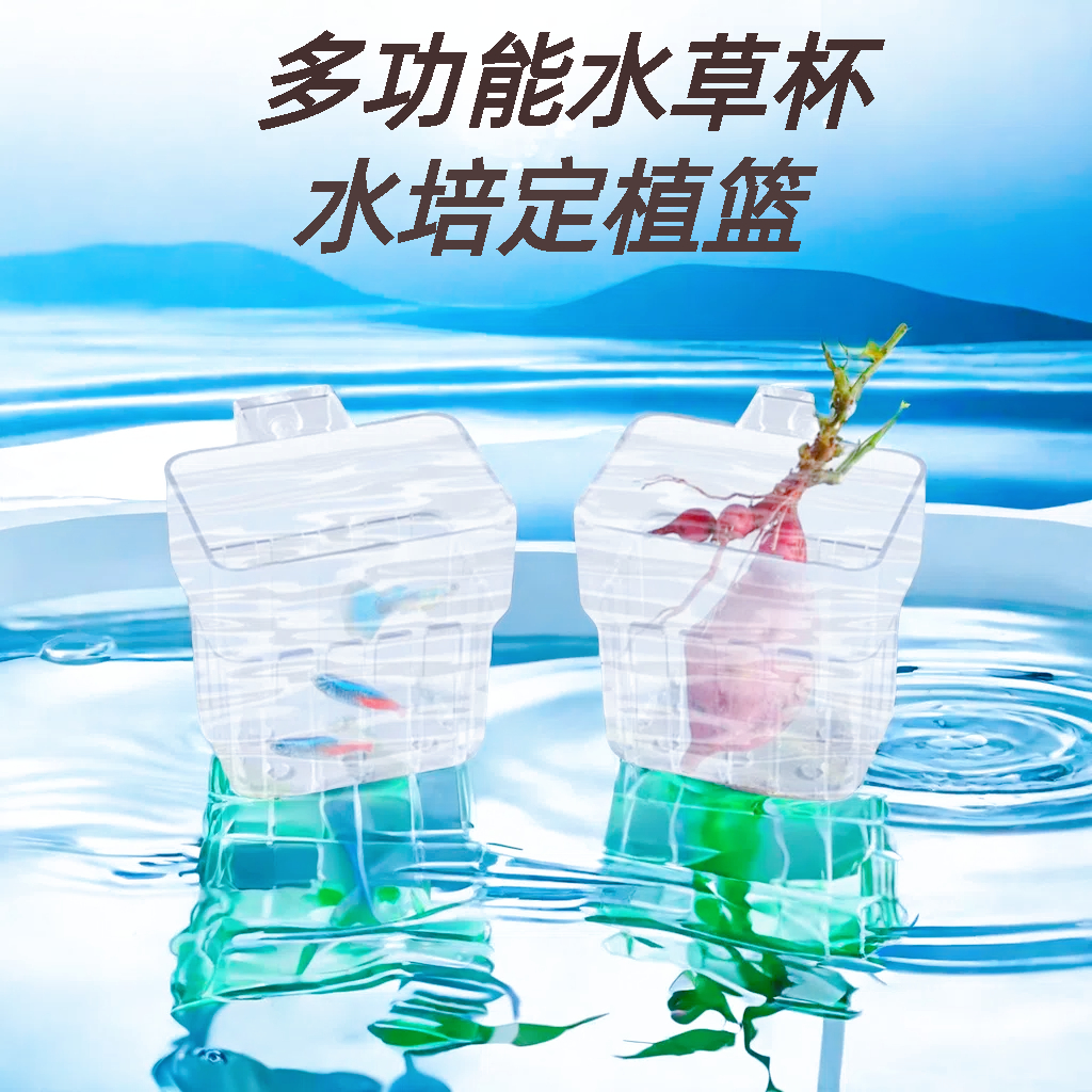 鱼缸水培绿萝种植杯小缸造景过滤水草透明水草定植生态缸杯挂式篮