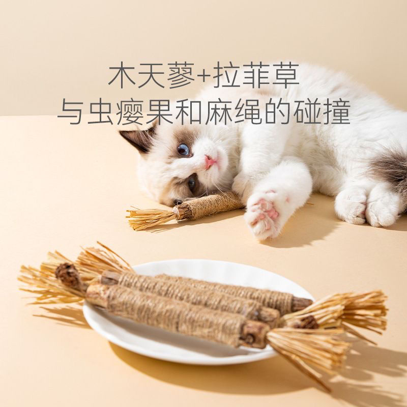虫瘿果杆加木天蓼棒耐用新款猫玩具磨牙去牙垢清新口气E65