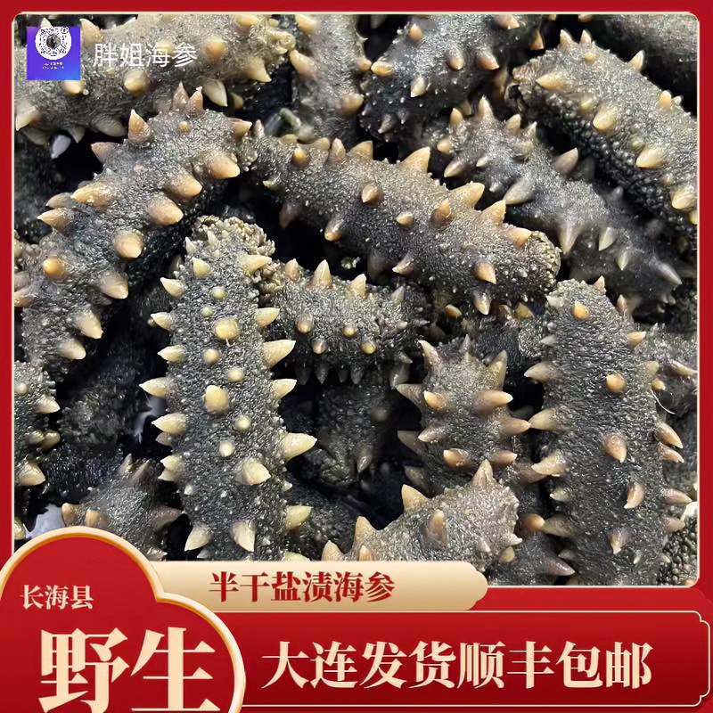 大连长海县野生半干海参 （28-32）500g 顺丰包邮冷冻