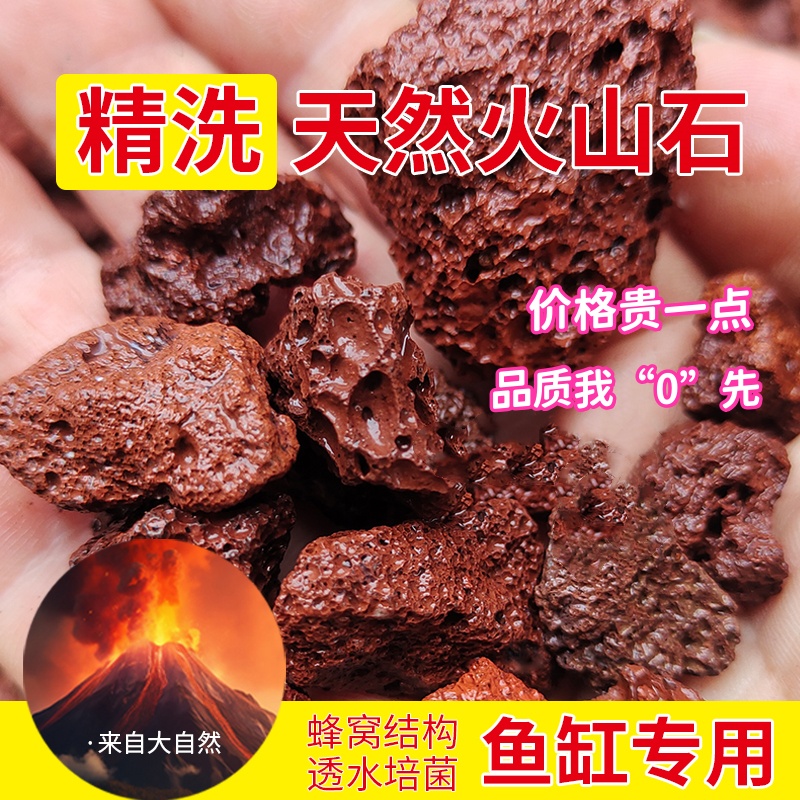 【养鱼啊振】精洗天然火山石底砂鱼缸造景过滤材料石头专用生态缸