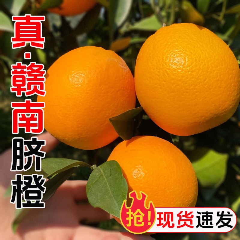 【产地直发】正宗江西赣南脐橙丑果江西橙子新鲜薄皮应季水果