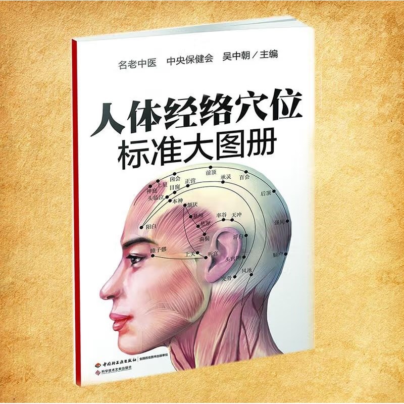 正版人体经络穴位标准大图册超清晰精确好找不费事的取穴养生书籍