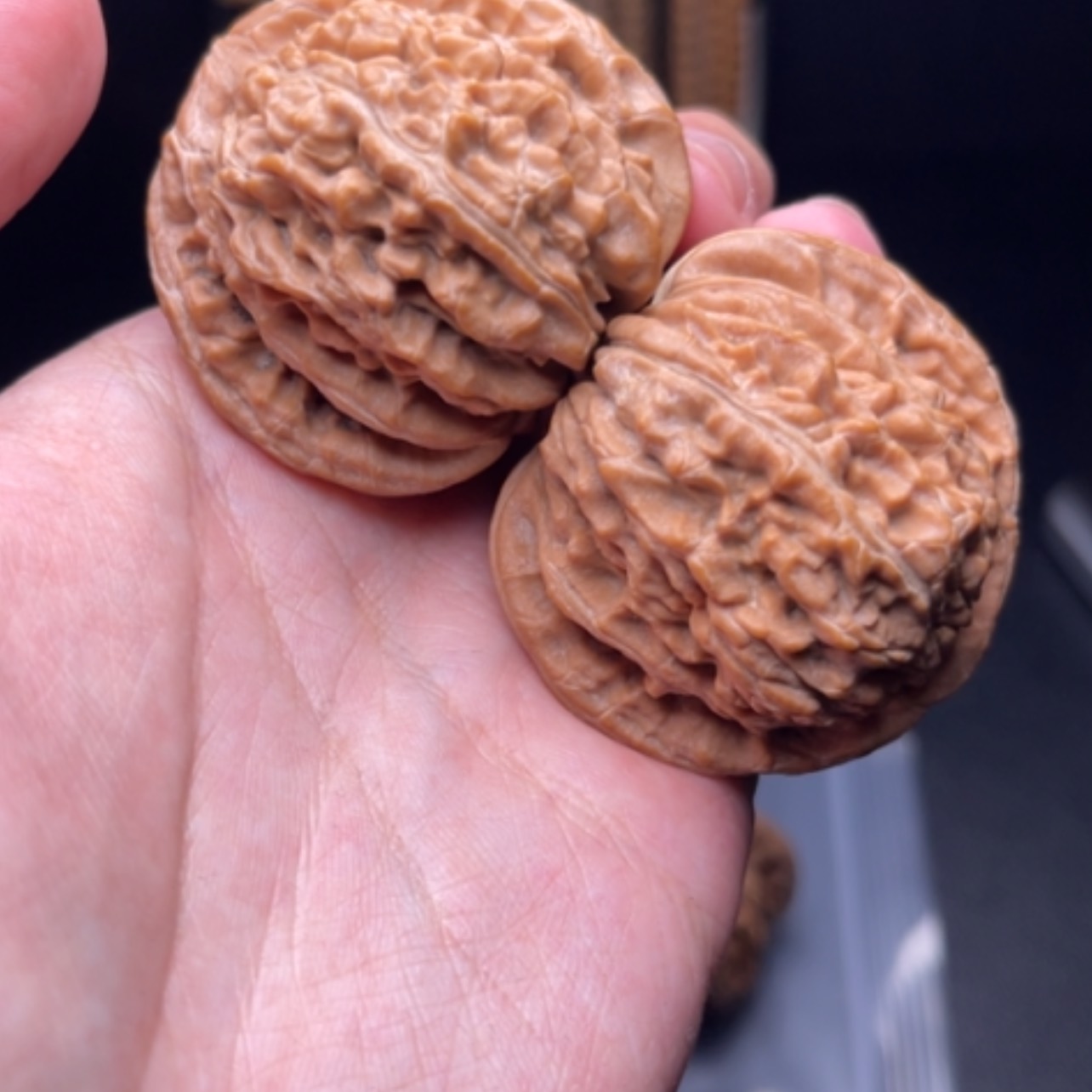 【闪购商品】文玩核桃吊坠45楼