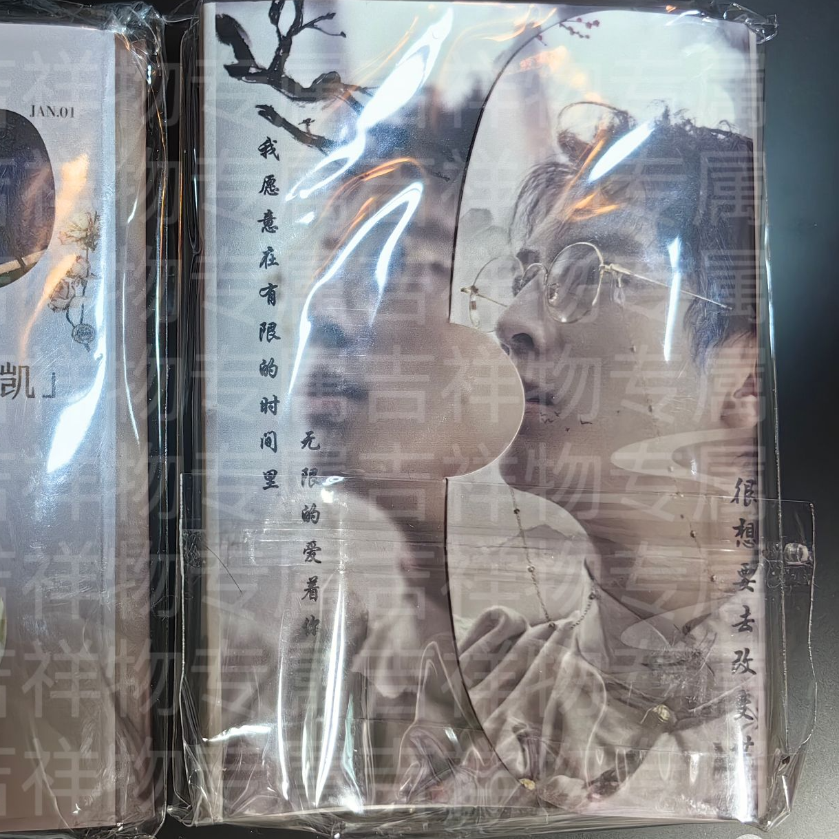 【吉祥物专属】蒲熠星&石凯风琴页 自制随身卡册 可装7张小卡 