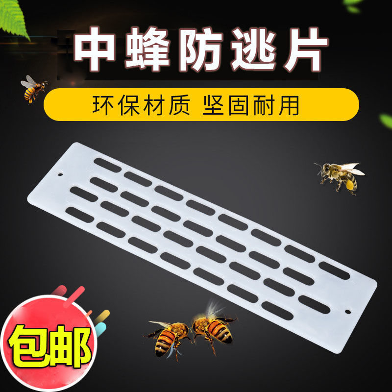 防逃片中蜂防跑王片养蜂工具蜂箱蜂王防跑片防盗蜂隔王片塑料包邮