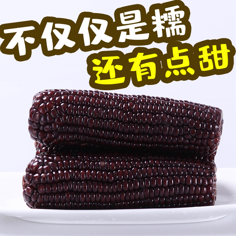 【14只6斤嫌小勿拍（带箱重量）甜糯黑玉米】东北新货黑甜糯 非转基因