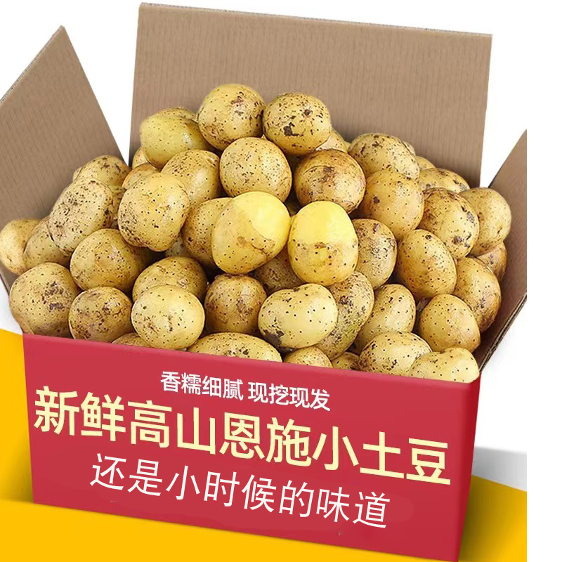 网红恩施黄心小土豆呀新鲜现挖3/5/9斤迷你马铃薯洋芋[粉糯香甜]