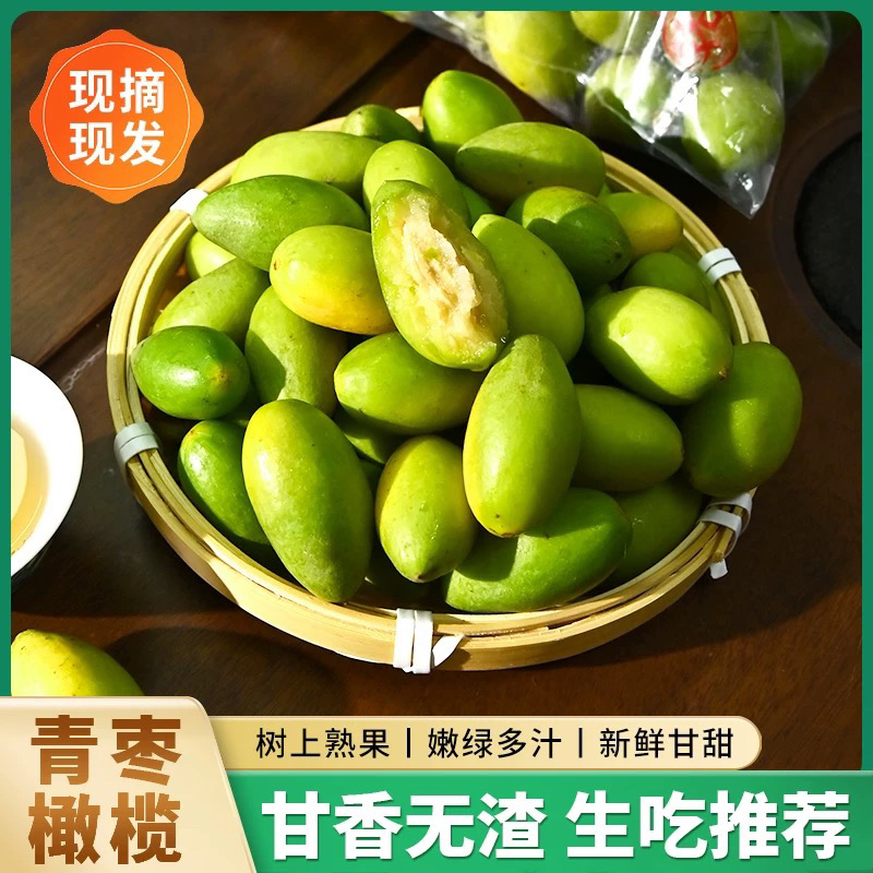 潮汕金灶青枣脆橄榄青果新鲜采摘煲汤 泡酒 生吃一斤装