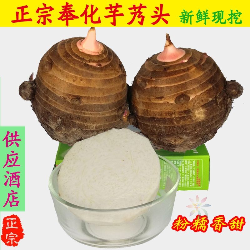 新鲜香糯正宗宁波奉化芋艿头香芋芋头粉糯奉化大芋头/0lb蔬菜组合