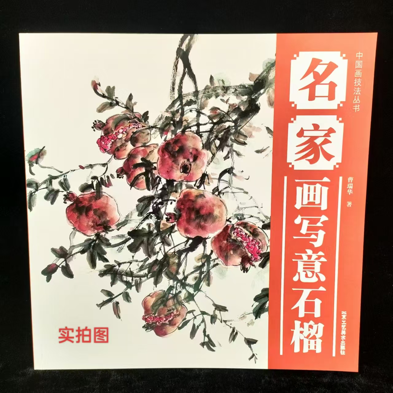 名家画写意石榴作品中国画技法丛书工艺美术出版社传统绘画色彩